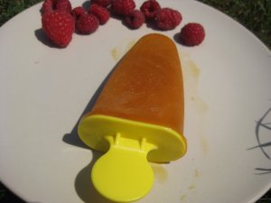 Homoktövis jégkrém