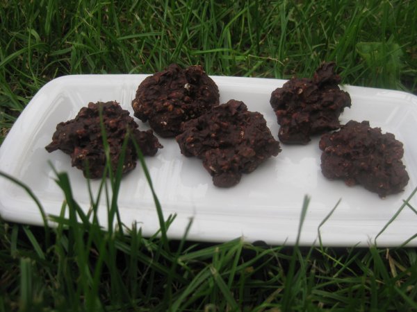 aszalt gyümölcsös csoki